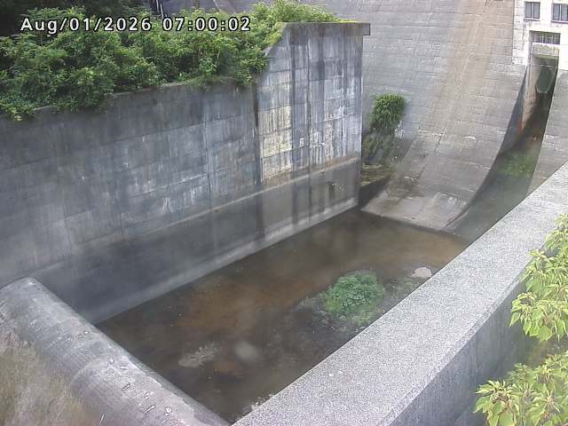 賀祥ダム１（下流）2026/08/01 21:20:00