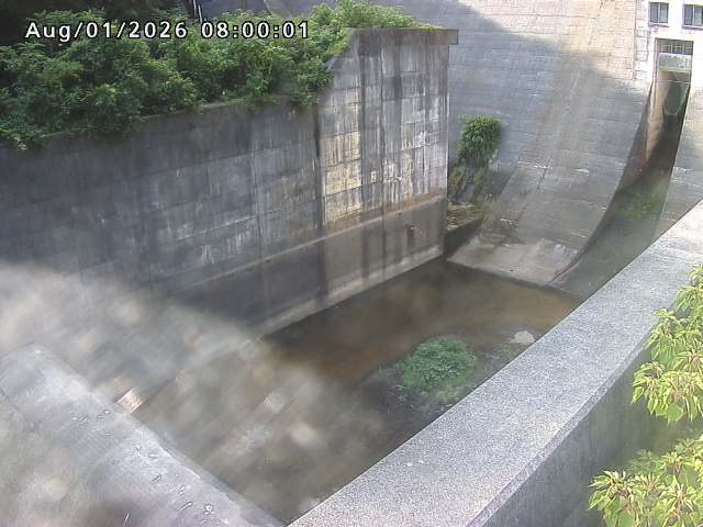賀祥ダム１（下流）2026/08/01 21:20:00
