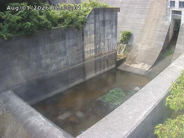 賀祥ダム１（下流）2026/08/01 21:20:00