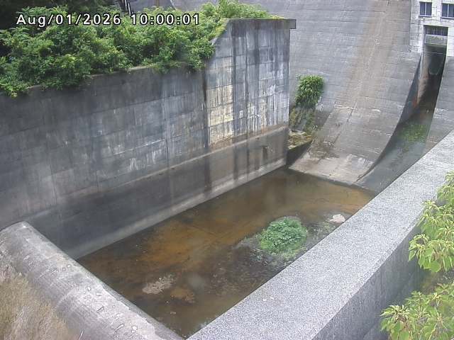 賀祥ダム１（下流）2026/08/01 21:20:00