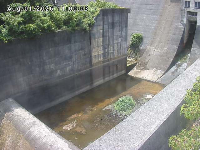 賀祥ダム１（下流）2026/08/01 21:20:00