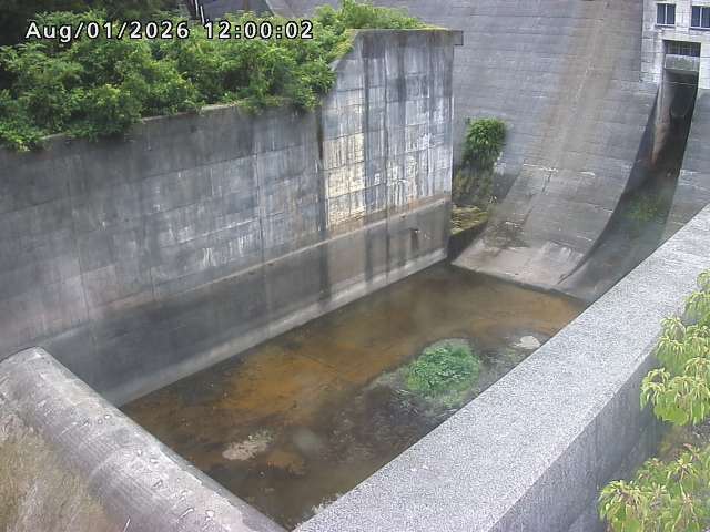賀祥ダム１（下流）2026/08/01 21:20:00
