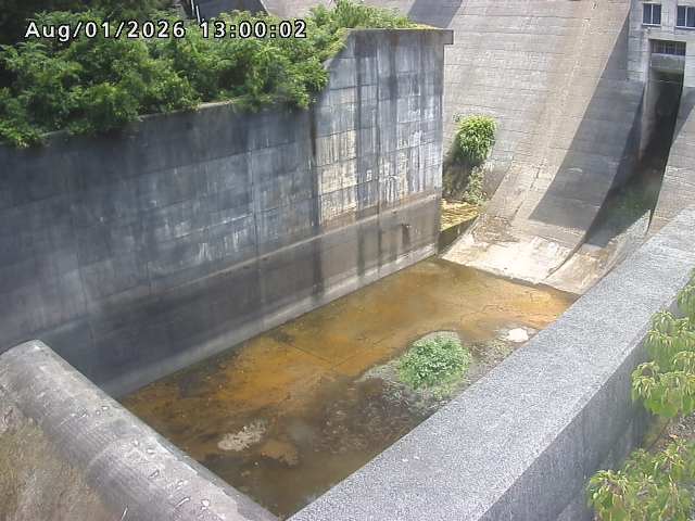 賀祥ダム１（下流）2026/08/01 21:20:00