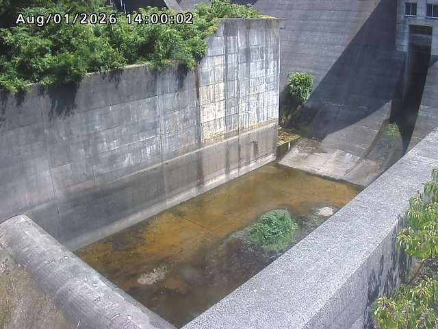 賀祥ダム１（下流）2026/08/01 21:20:00