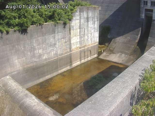 賀祥ダム１（下流）2026/08/01 21:20:00