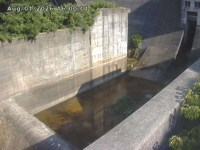 賀祥ダム１（下流）2026/08/01 21:20:00