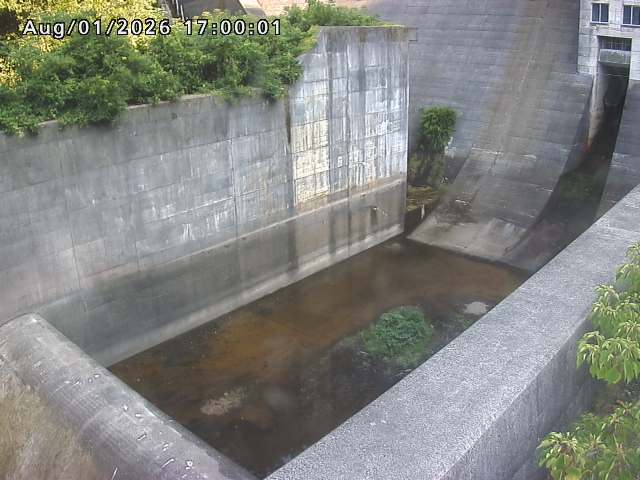 賀祥ダム１（下流）2026/08/01 21:20:00
