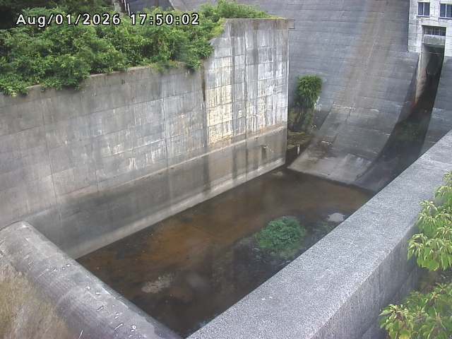 賀祥ダム１（下流）2026/08/01 21:20:00