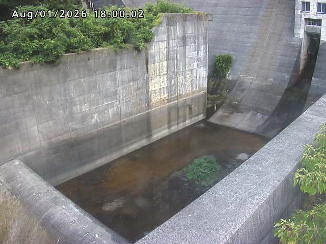 賀祥ダム１（下流）2026/08/01 21:20:00