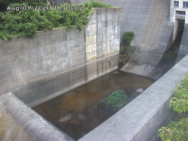賀祥ダム１（下流）2026/08/01 21:20:00