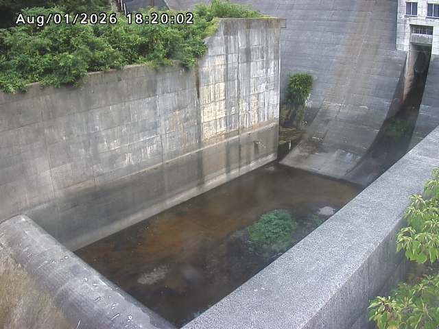 賀祥ダム１（下流）2026/08/01 21:20:00