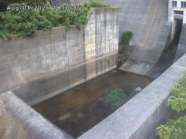 賀祥ダム１（下流）2026/08/01 21:20:00