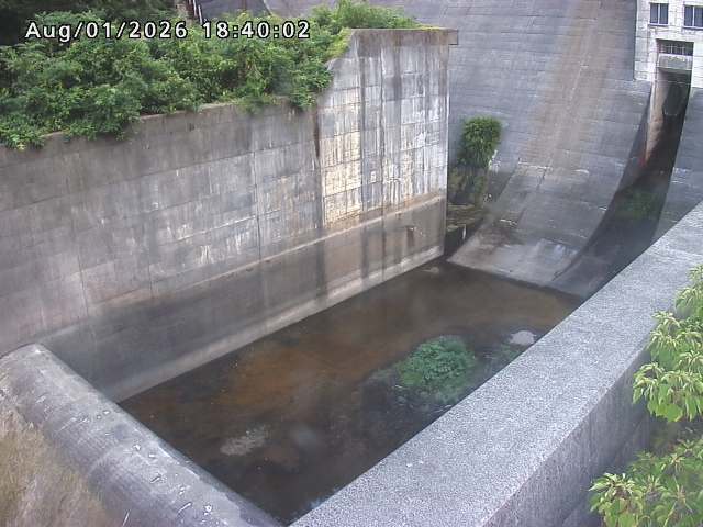 賀祥ダム１（下流）2026/08/01 21:20:00