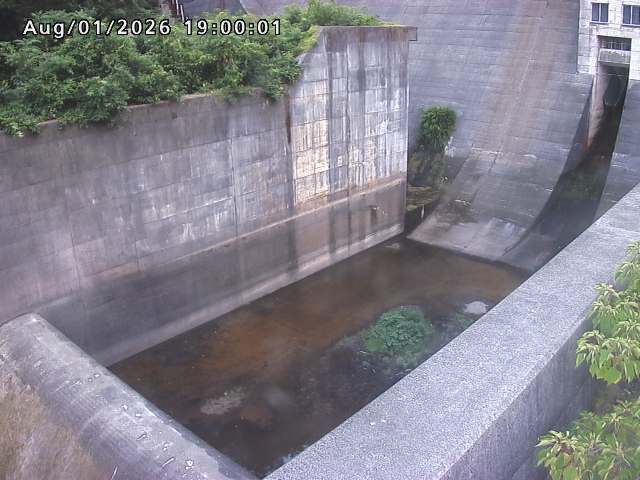 賀祥ダム１（下流）2026/08/01 21:20:00