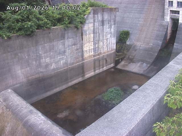 賀祥ダム１（下流）2026/08/01 21:20:00