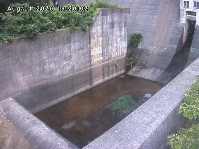 賀祥ダム１（下流）2026/08/01 21:20:00