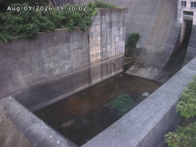 賀祥ダム１（下流）2026/08/01 21:20:00