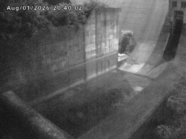賀祥ダム１（下流）2026/08/01 21:20:00