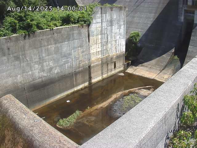 賀祥ダム１（下流）2025/08/15 14:00:00