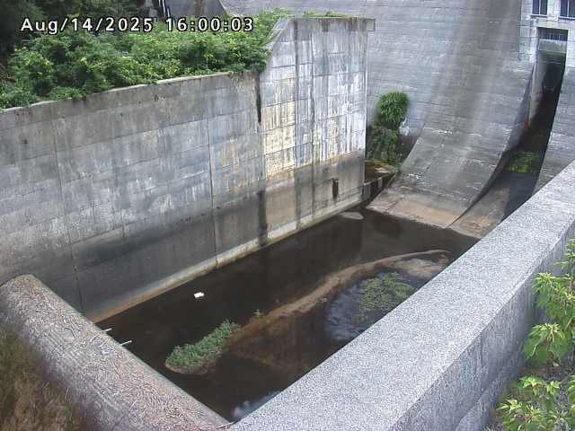 賀祥ダム１（下流）2025/08/15 14:00:00