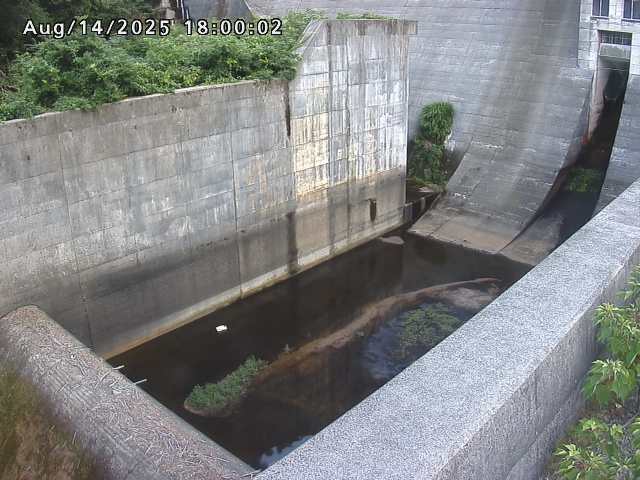 賀祥ダム１（下流）2025/08/15 14:00:00