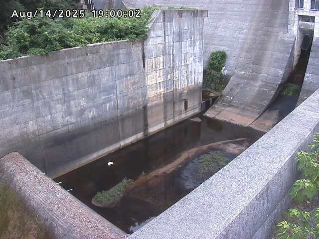 賀祥ダム１（下流）2025/08/15 14:00:00