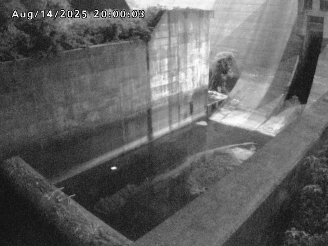 賀祥ダム１（下流）2025/08/15 14:00:00