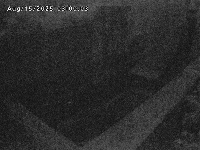 賀祥ダム１（下流）2025/08/15 14:00:00