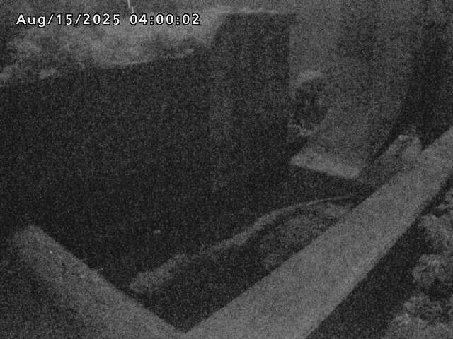 賀祥ダム１（下流）2025/08/15 14:00:00