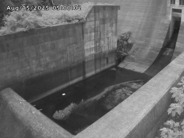 賀祥ダム１（下流）2025/08/15 14:00:00