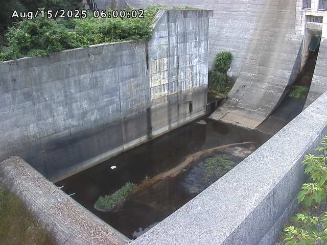 賀祥ダム１（下流）2025/08/15 14:00:00