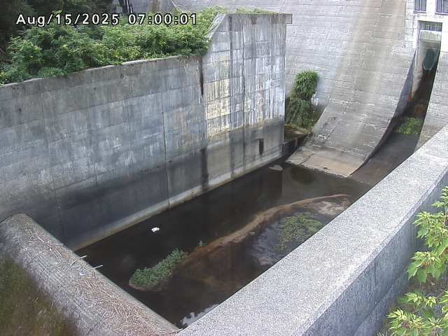 賀祥ダム１（下流）2025/08/15 14:00:00