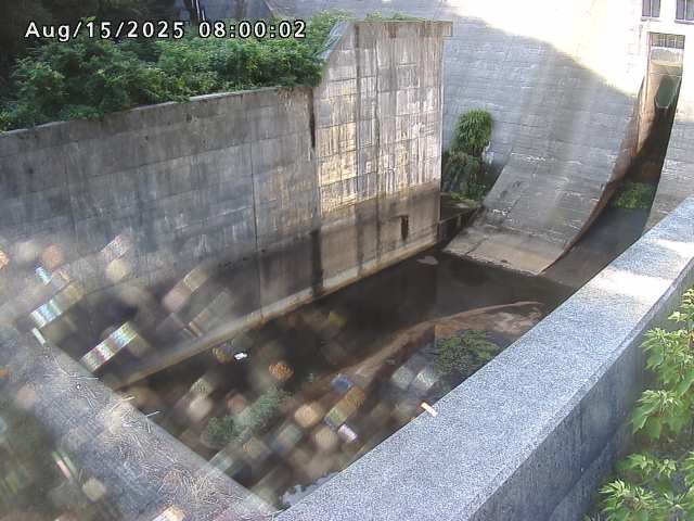 賀祥ダム１（下流）2025/08/15 14:00:00