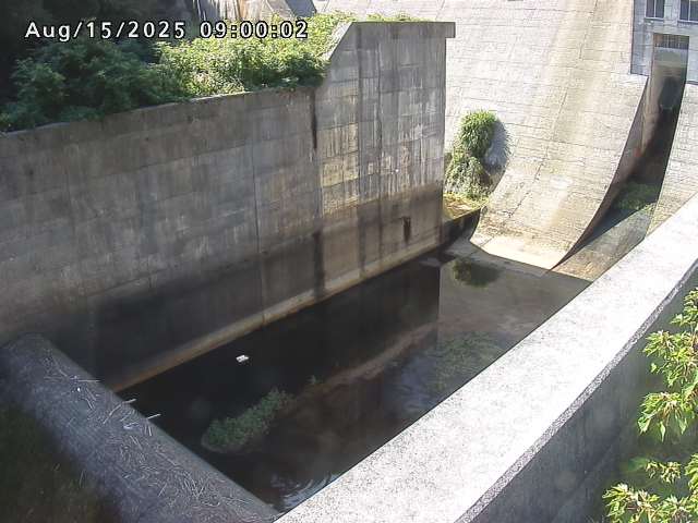 賀祥ダム１（下流）2025/08/15 14:00:00