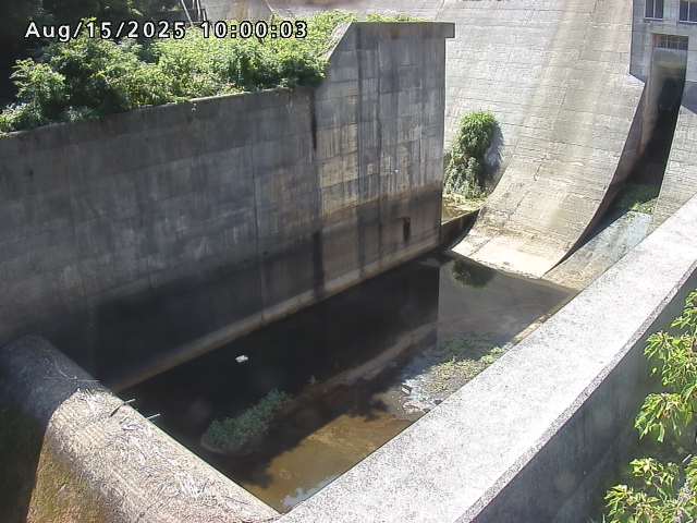 賀祥ダム１（下流）2025/08/15 14:00:00