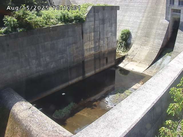 賀祥ダム１（下流）2025/08/15 14:00:00