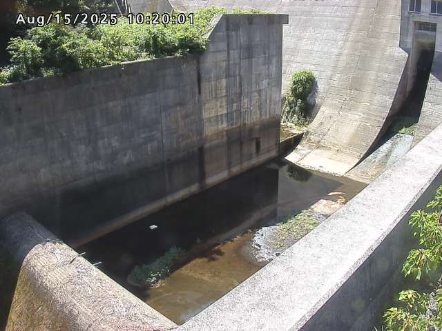 賀祥ダム１（下流）2025/08/15 14:00:00