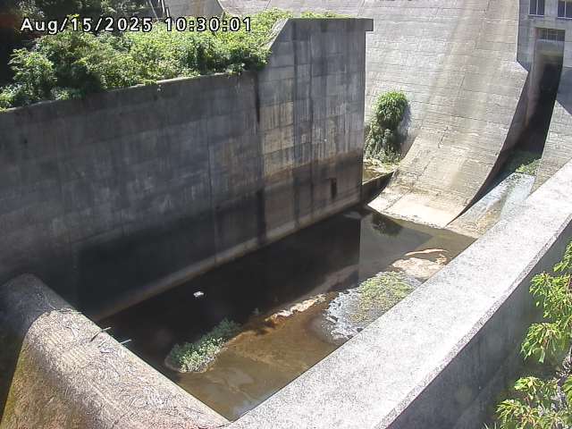 賀祥ダム１（下流）2025/08/15 14:00:00