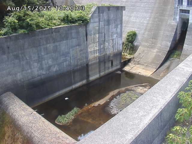 賀祥ダム１（下流）2025/08/15 14:00:00