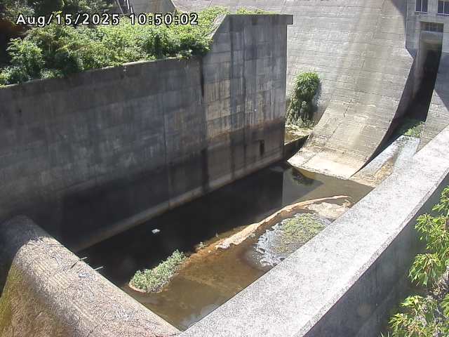 賀祥ダム１（下流）2025/08/15 14:00:00
