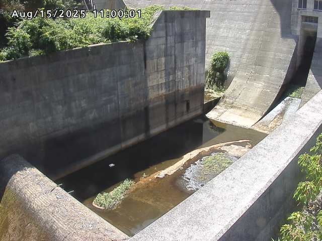 賀祥ダム１（下流）2025/08/15 14:00:00