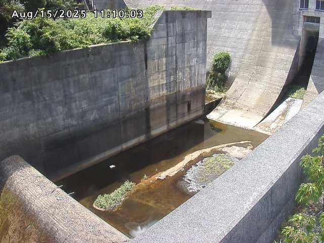 賀祥ダム１（下流）2025/08/15 14:00:00