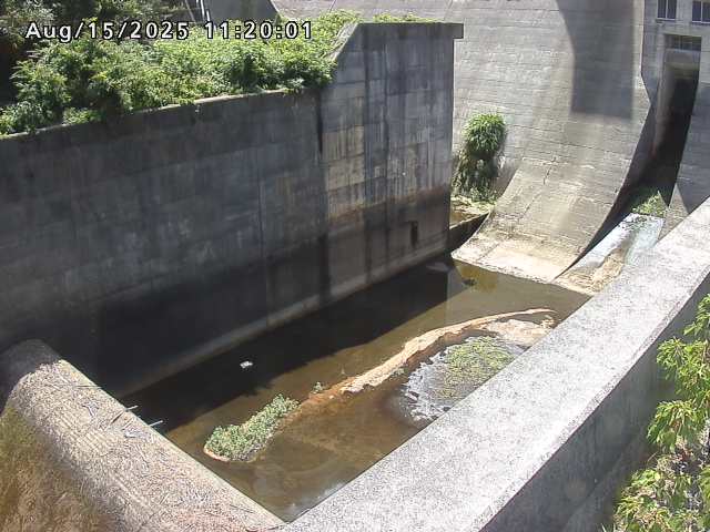 賀祥ダム１（下流）2025/08/15 14:00:00