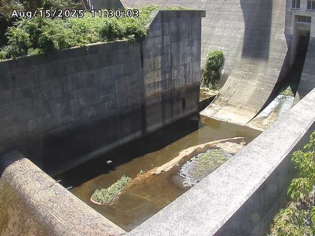 賀祥ダム１（下流）2025/08/15 14:00:00