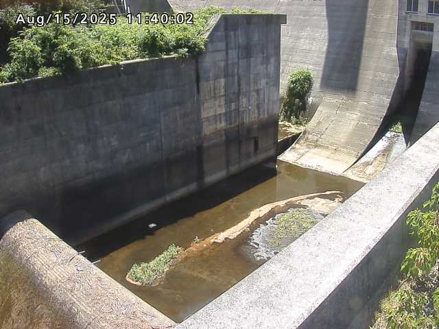 賀祥ダム１（下流）2025/08/15 14:00:00