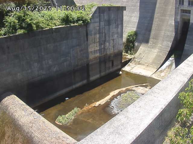 賀祥ダム１（下流）2025/08/15 14:00:00