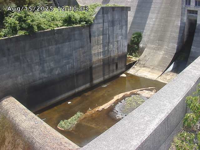 賀祥ダム１（下流）2025/08/15 14:00:00