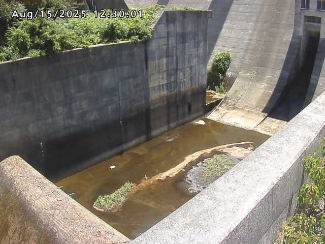 賀祥ダム１（下流）2025/08/15 14:00:00