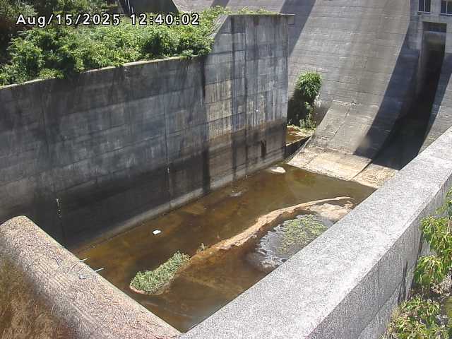 賀祥ダム１（下流）2025/08/15 14:00:00