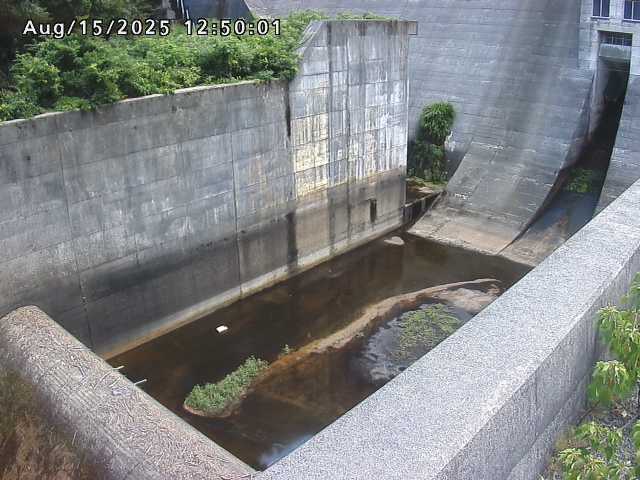 賀祥ダム１（下流）2025/08/15 14:00:00